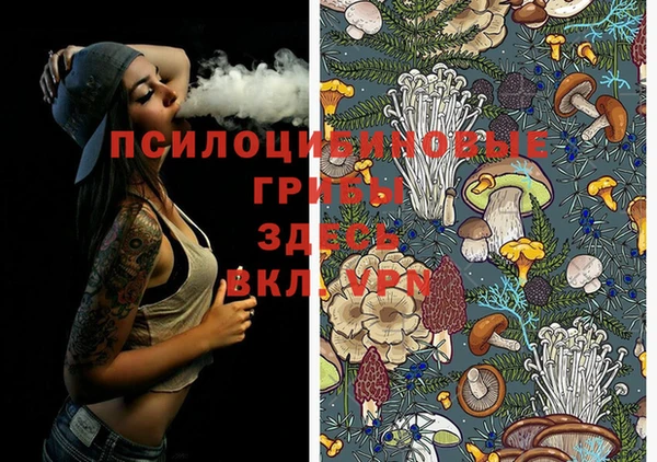 герыч Абаза