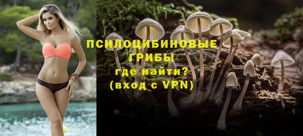 соль курить ск Михайловка
