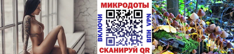 blacksprut маркетплейс  где купить наркоту  Александровск-Сахалинский  Псилоцибиновые грибы Psilocybine cubensis 